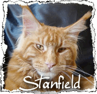 stanfield_alt